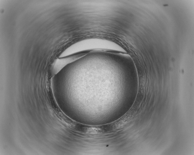 X0000087030222200704301347