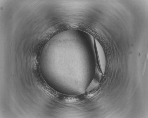 X0000087030223200704301347