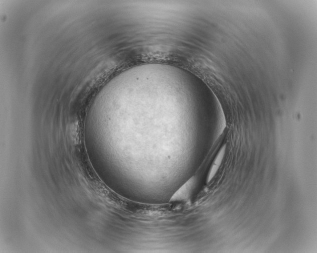 X0000087030224200704301347