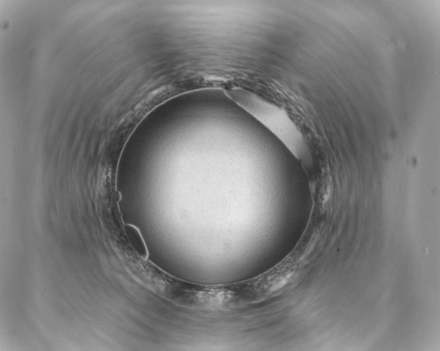 X0000087030225200704301347