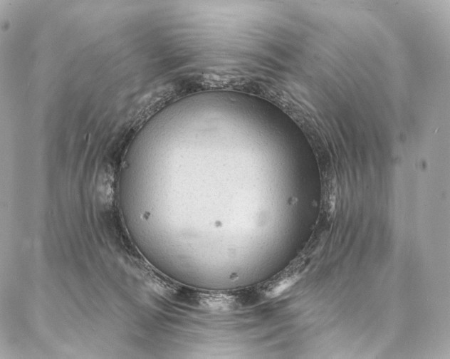 X0000087030226200704301347