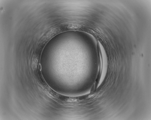 X0000087030227200704301347