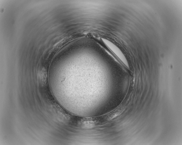 X0000087030228200704301347