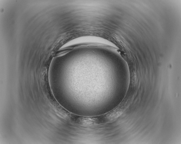 X0000087030229200704301347