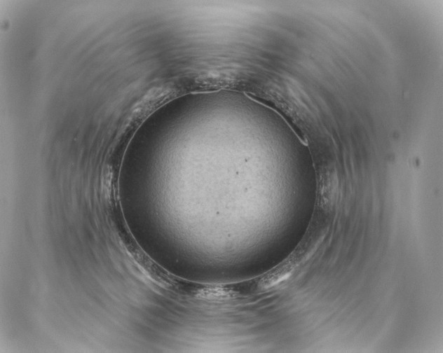 X0000087030231200704301347