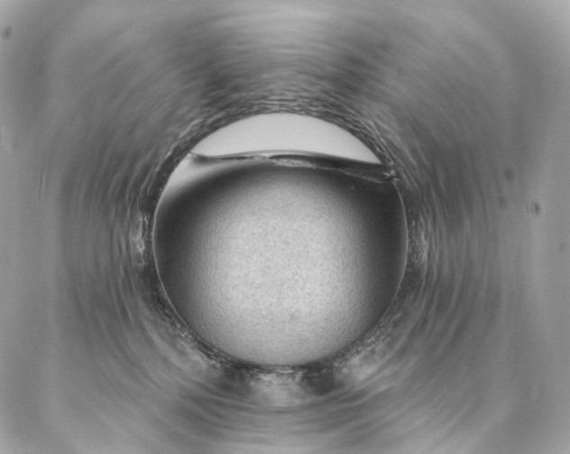 X0000087030232200704301347