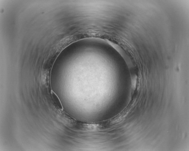 X0000087030233200704301347