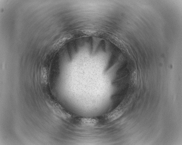 X0000087030234200704301347