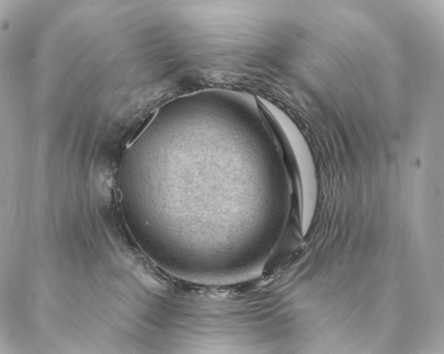 X0000087030235200704301347