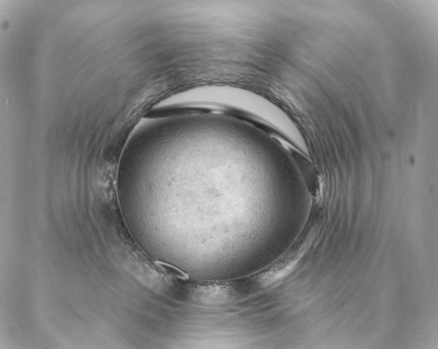 X0000087030237200704301347