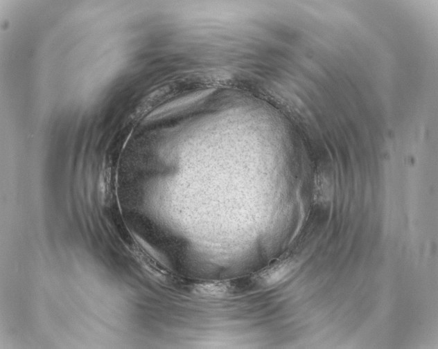 X0000087030238200704301347