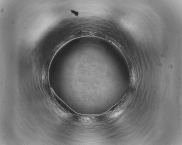 X0000087030239200704301347