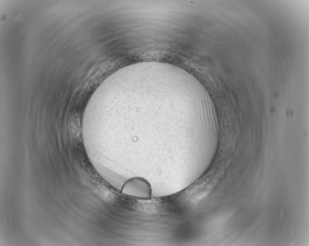 X0000087030240200704301347