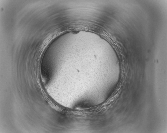 X0000087030241200704301346