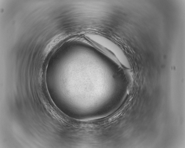 X0000087030242200704301346