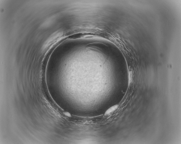 X0000087030243200704301346