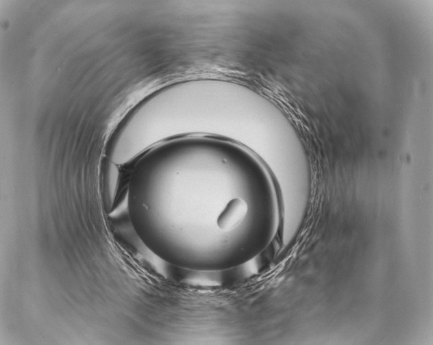 X0000087030244200704301346