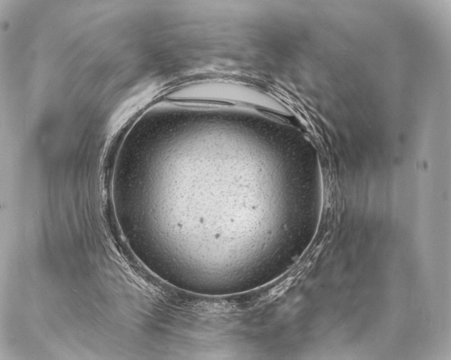 X0000087030245200704301346