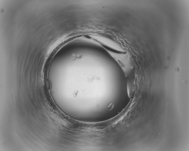 X0000087030246200704301346