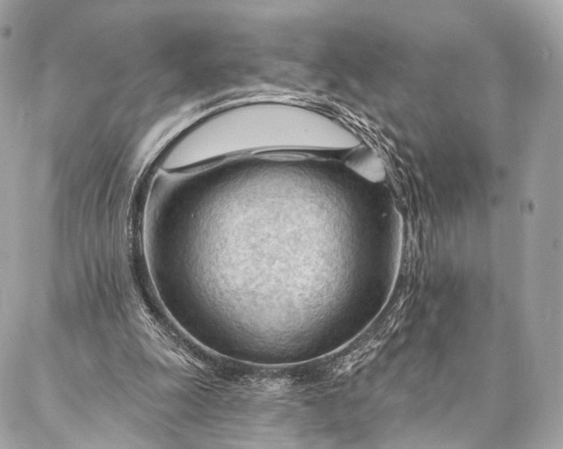 X0000087030247200704301346