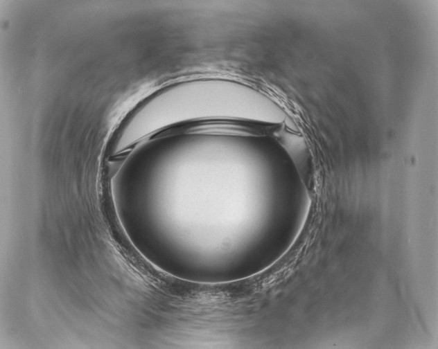 X0000087030248200704301346