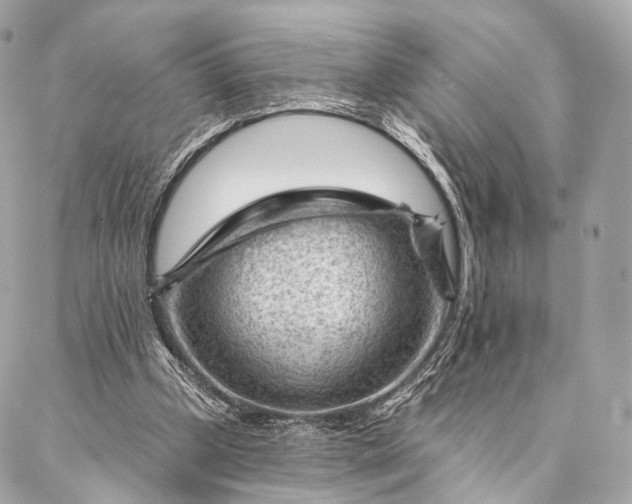 X0000087030249200704301346