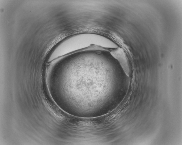 X0000087030250200704301346