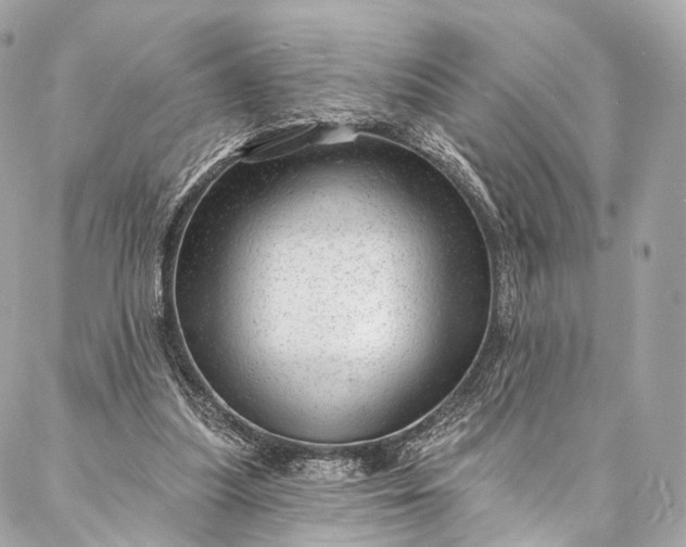 X0000087030251200704301346