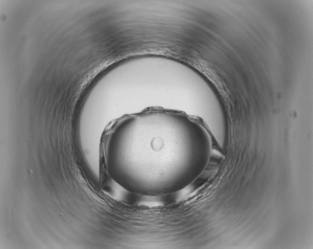 X0000087030252200704301346