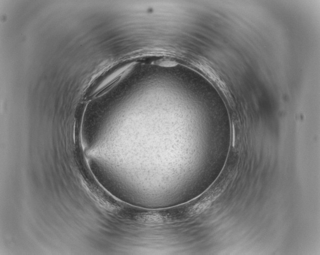 X0000087030253200704301346