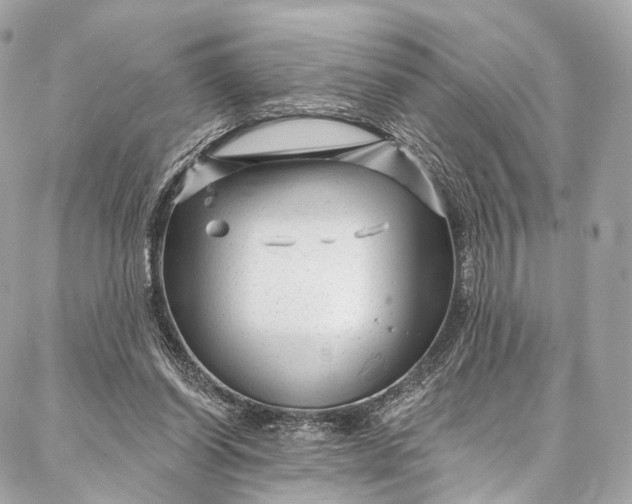 X0000087030254200704301346