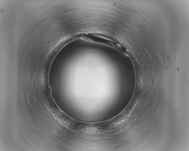 X0000087030256200704301346