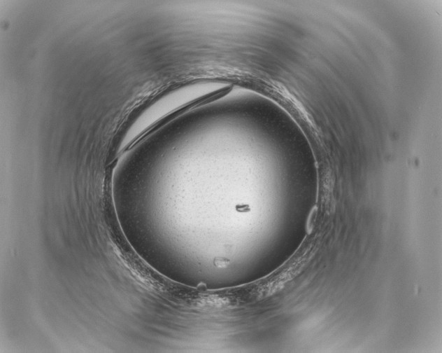 X0000087030257200704301346