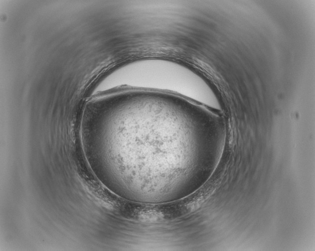 X0000087030258200704301346