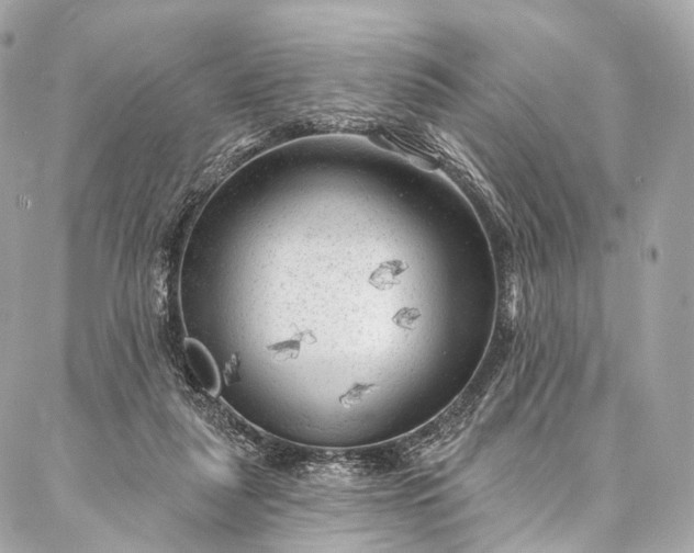 X0000087030259200704301346