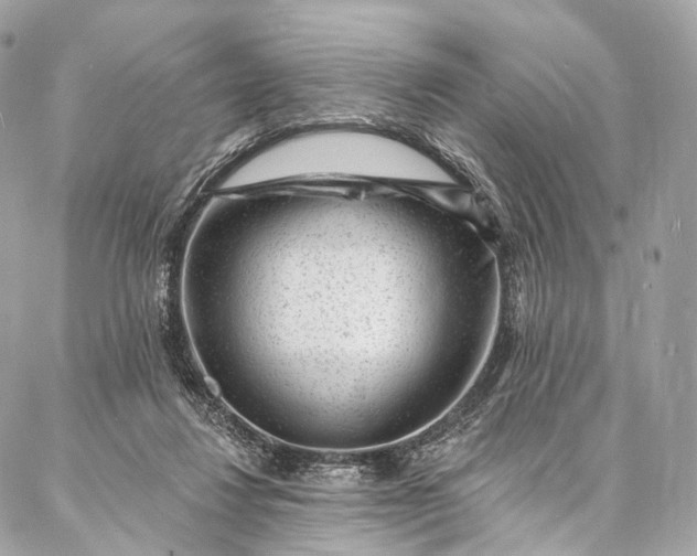 X0000087030260200704301346