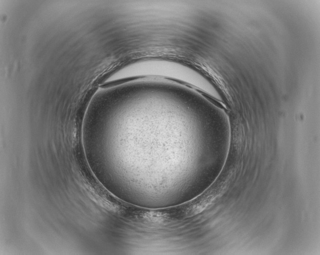 X0000087030261200704301346