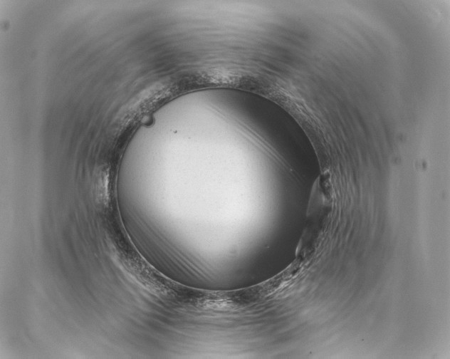 X0000087030262200704301346