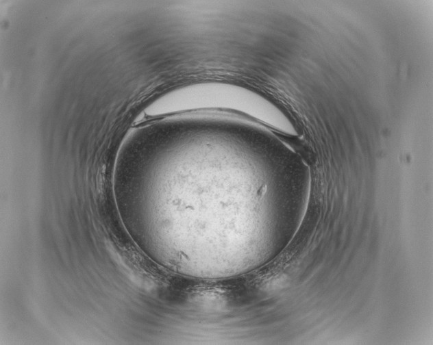 X0000087030263200704301346