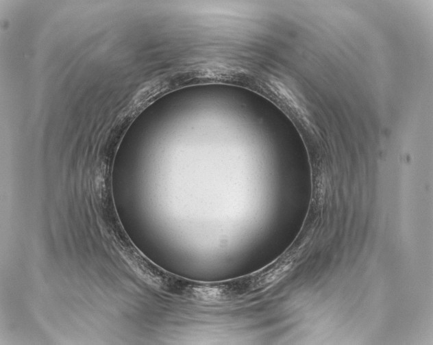 X0000087030265200704301347