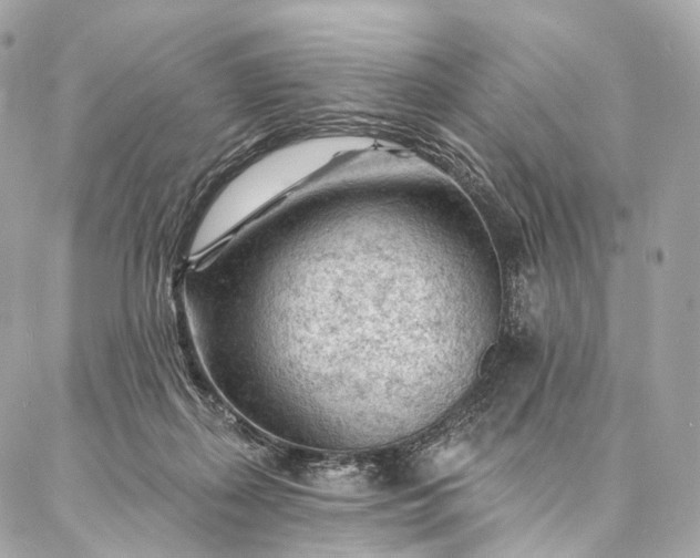 X0000087030267200704301347