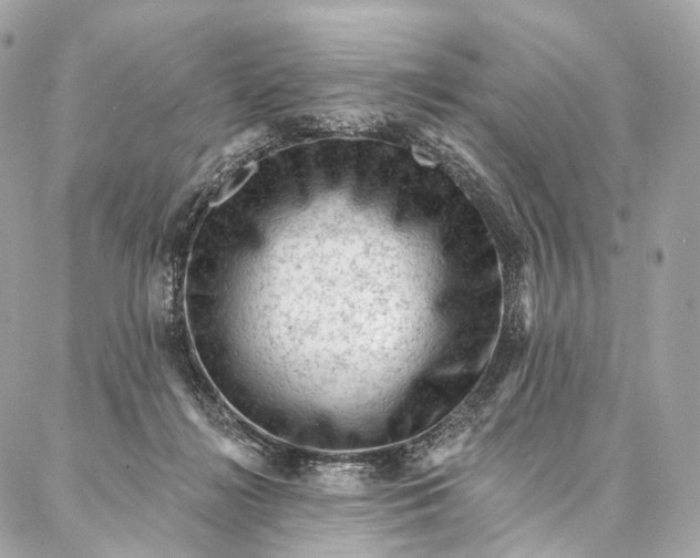 X0000087030268200704301347