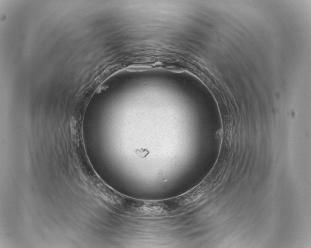 X0000087030270200704301347