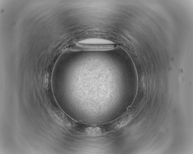 X0000087030271200704301347