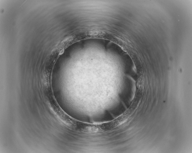 X0000087030272200704301347