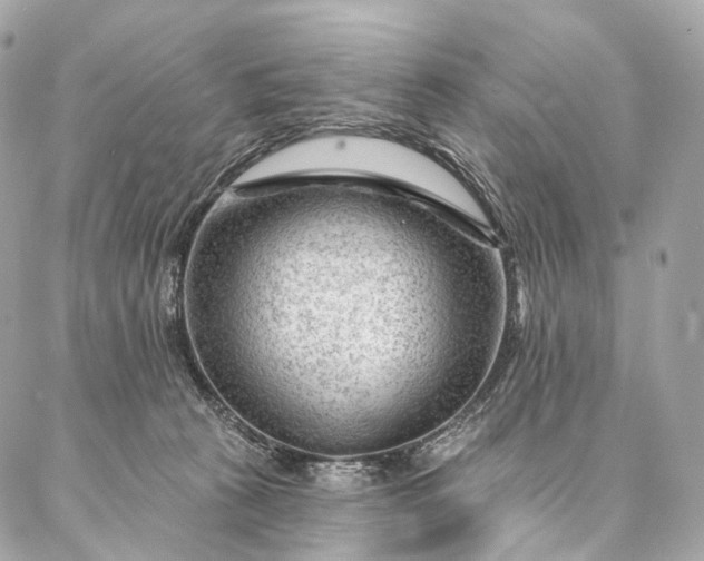 X0000087030273200704301347