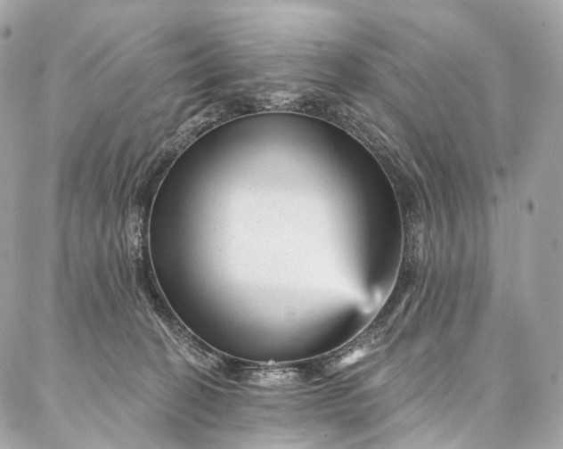 X0000087030274200704301347