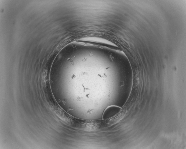 X0000087030275200704301347