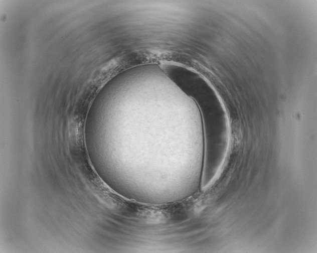 X0000087030276200704301347