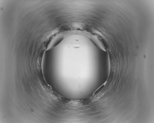 X0000087030280200704301347